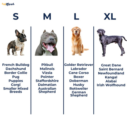 Personalized Dog Collar Size Chart